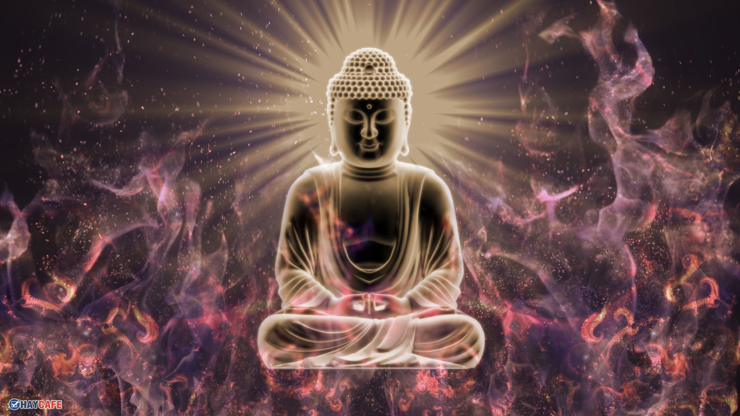 358+ Mẫu ảnh Phật, hình Phật đẹp nhất 2024