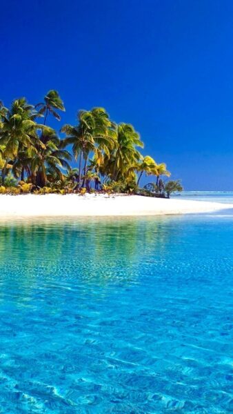 Hình ảnh mùa hè trên bãi biển nước trong xanh