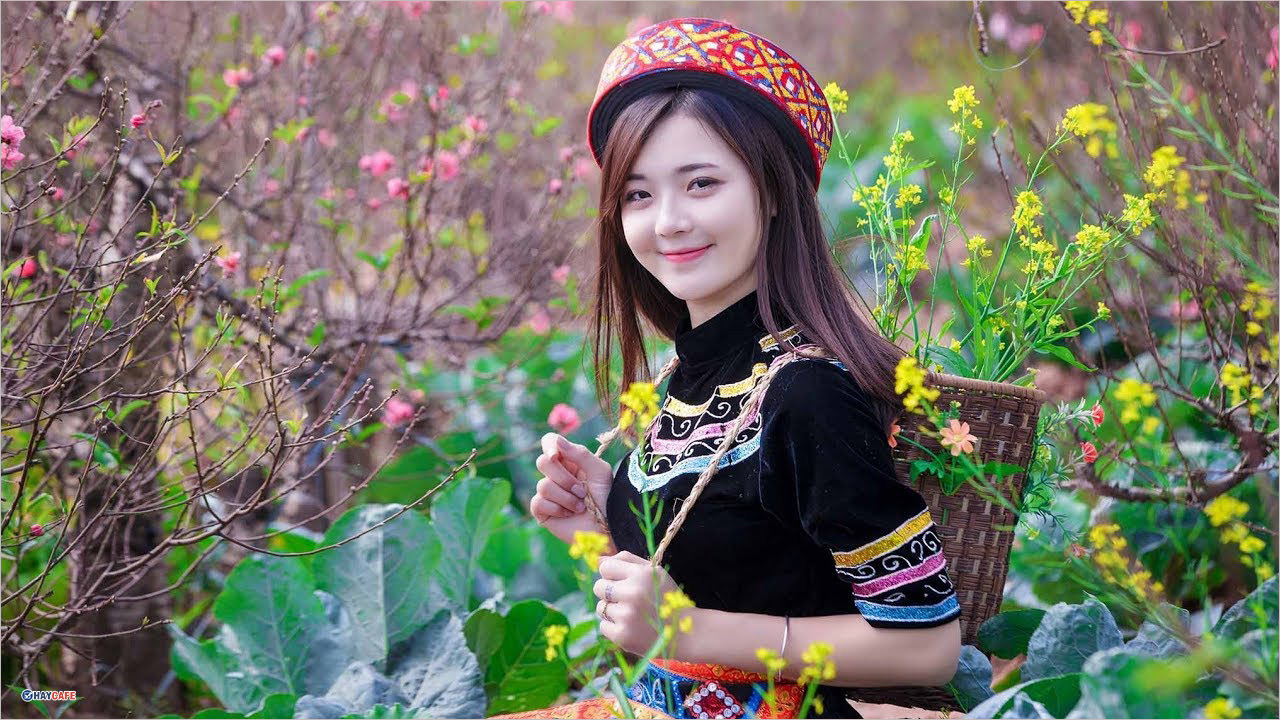 Hình ảnh mùa xuân đẹp nhất tại Việt Nam và trên thế giới