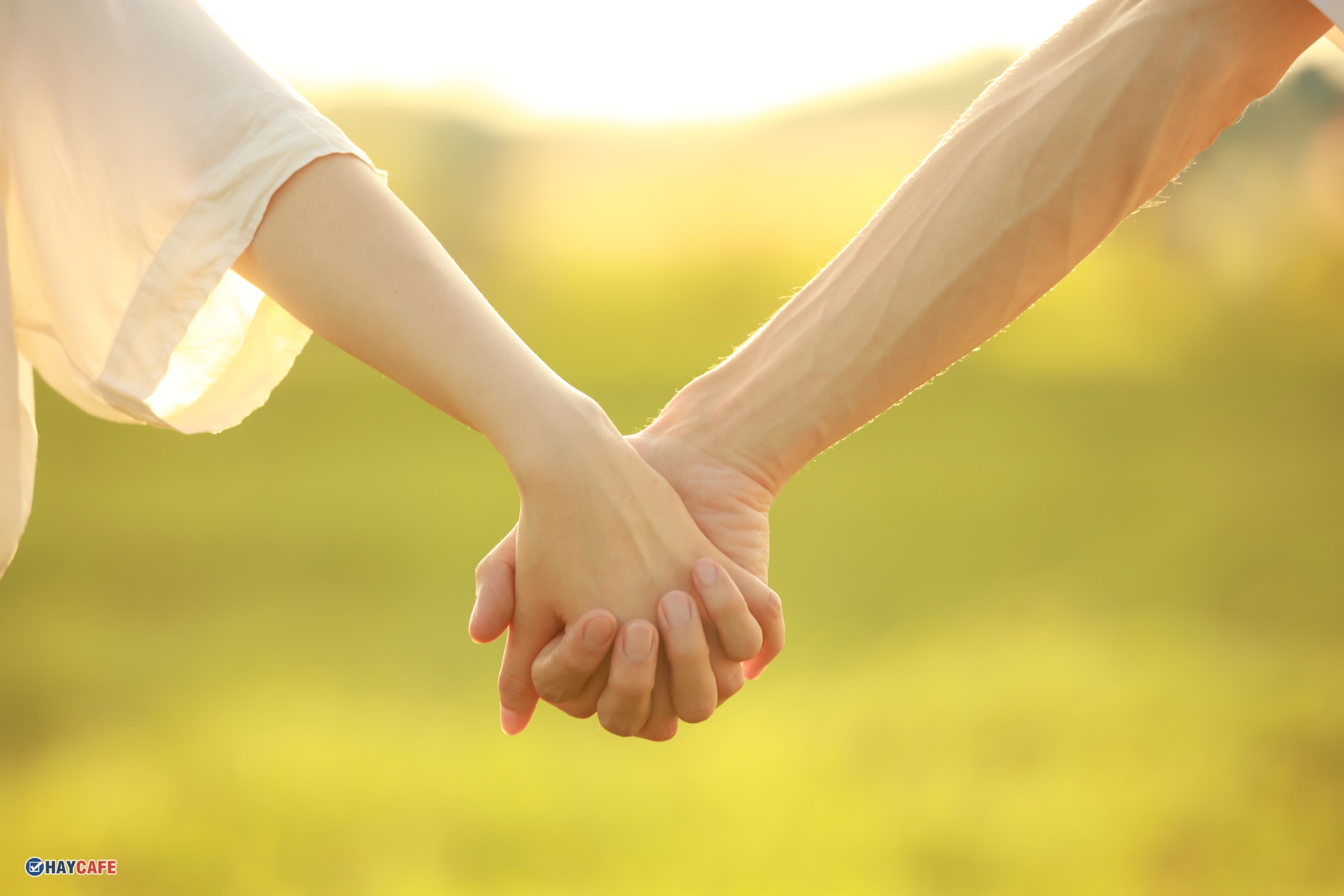 Top 30 Hình ảnh nền nắm tay người yêu đẹp tình cảm lãng mạn nhất