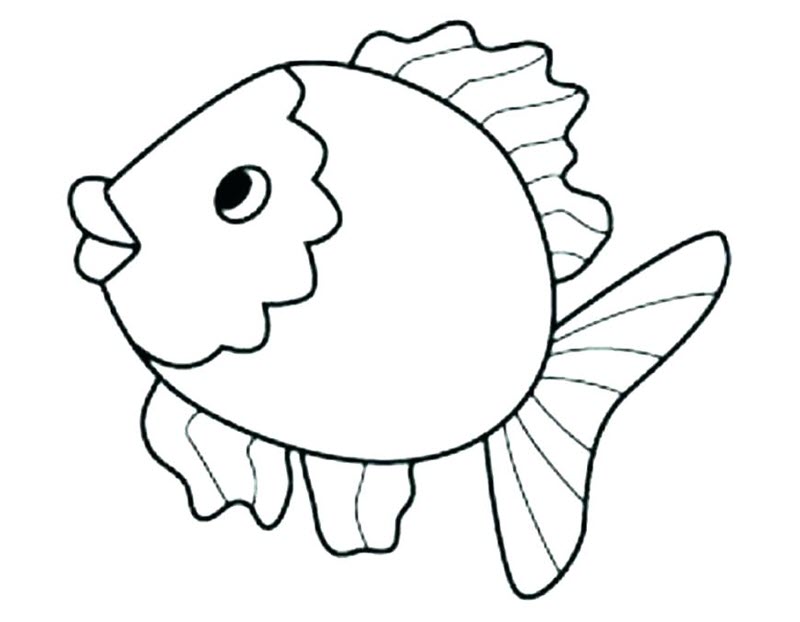 Khám phá 360 vẽ con cá dễ thương mới nhất  thtantai2eduvn