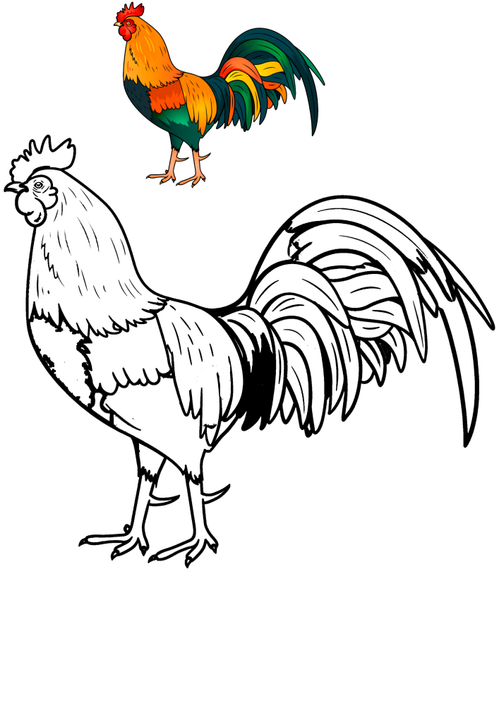  Cubra con más información sobre los últimos dibujos de pollos