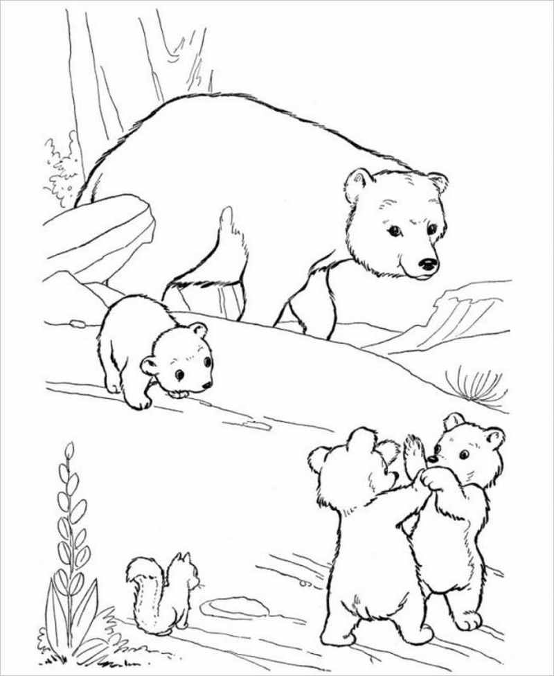 38 Tranh tô màu con gấu dễ thương cho bé tập tô