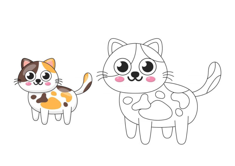 Cách vẽ Con Mèo  Tô Màu Con Mèo  How to Draw  YouTube