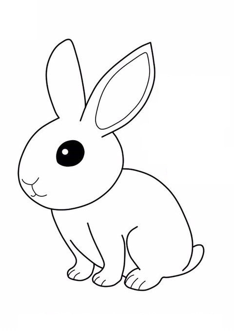 Tô màu Vẽ Con Thỏ Đơn Giản Theo Các Bước  Trang Tô Màu Cho Bé