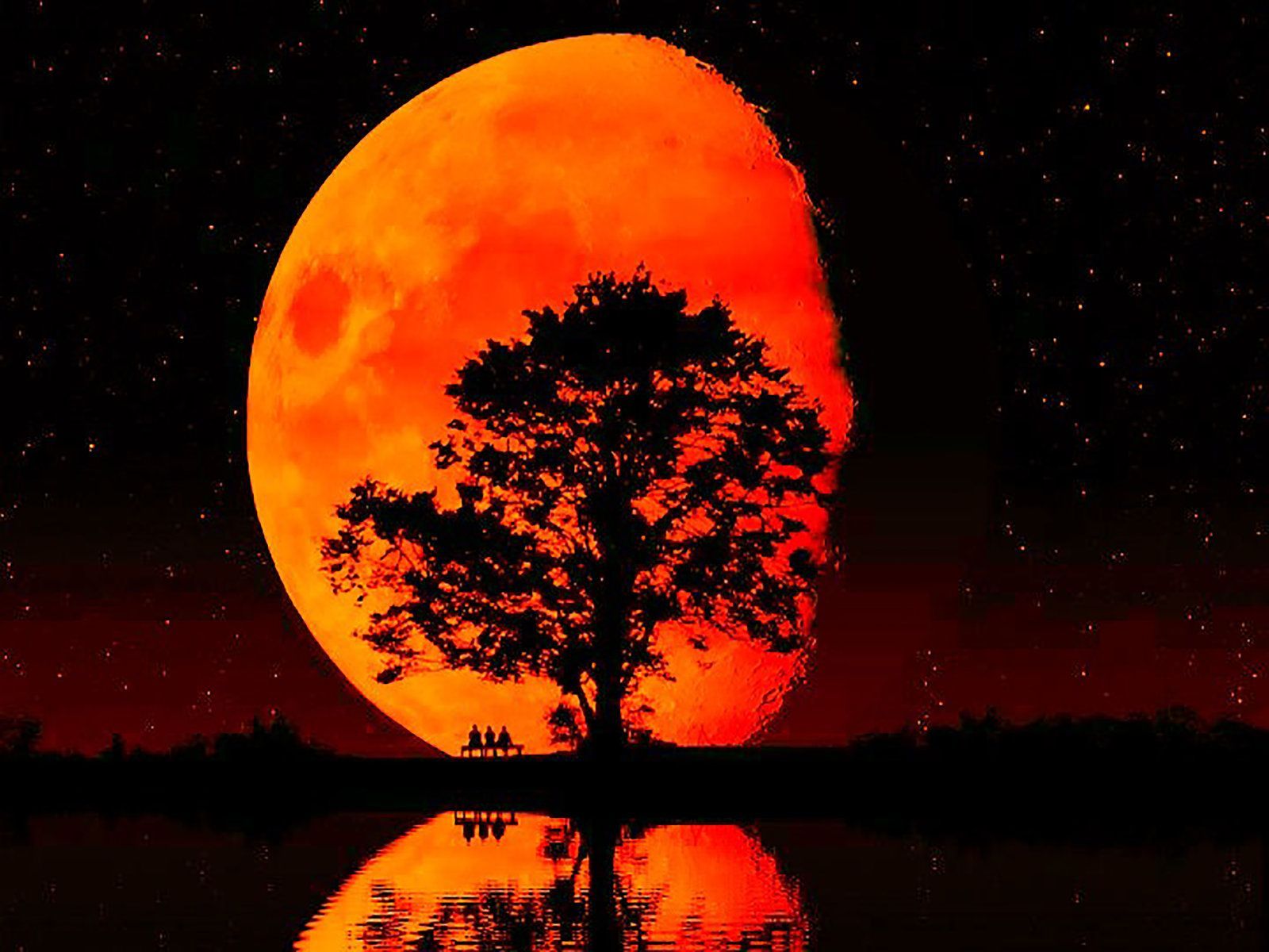 Hình ảnh hình nền ánh trăng mặt trăng đẹp nhất  VFOVN