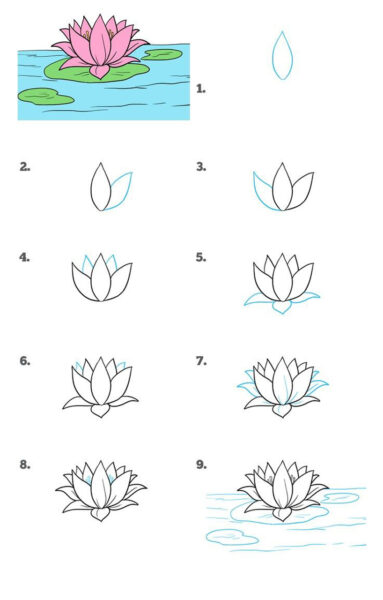 Cách vẽ hoa sen 9 bước