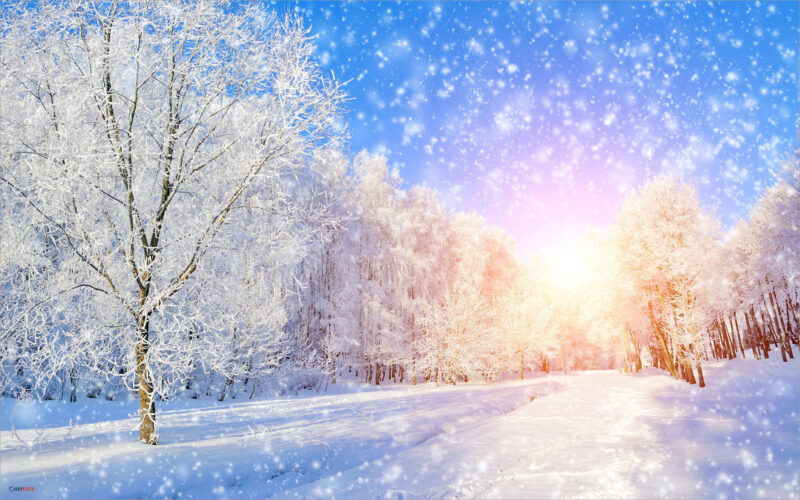 Hình Nền Mùa đông Tải Về Miễn Phí, Hình ảnh cảnh, tuyết rơi, phong cảnh  Sáng Tạo Từ Lovepik