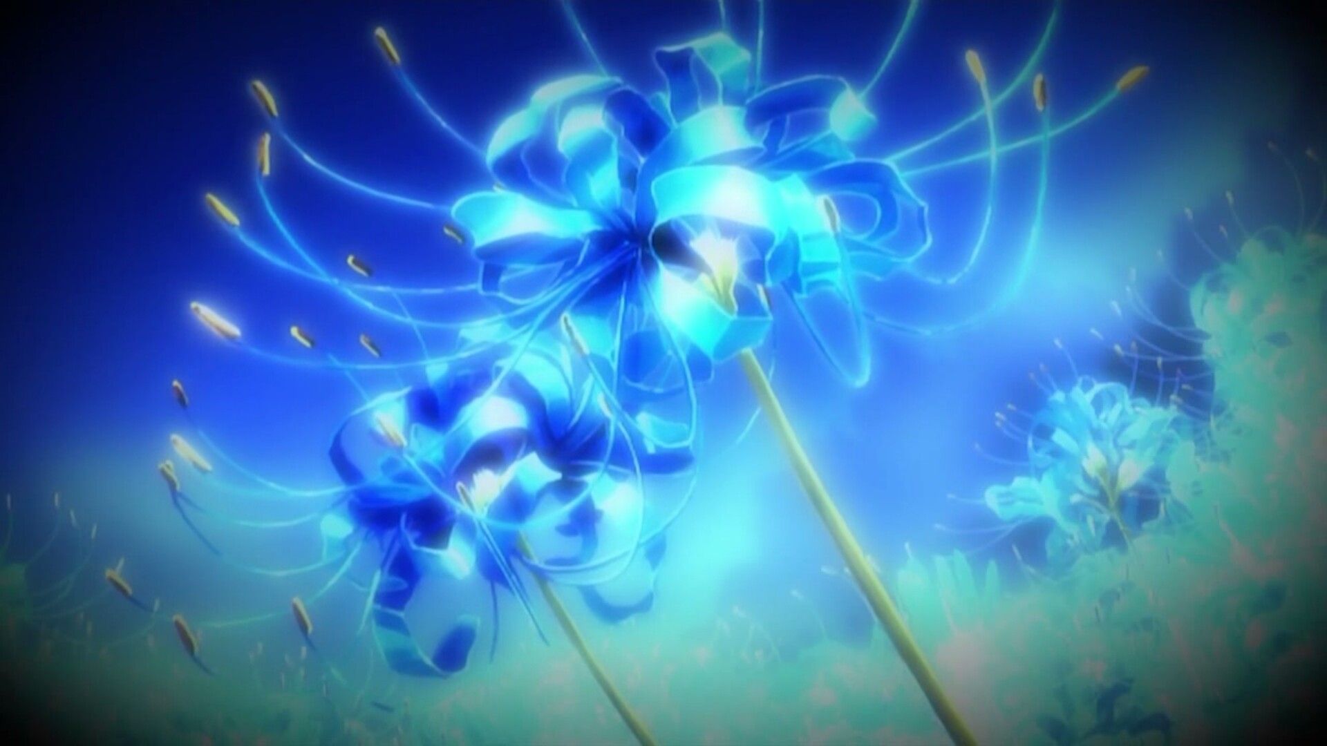 Cập nhật với hơn 365 anime hoa bỉ ngạn vẽ hay nhất  Tin Học Vui