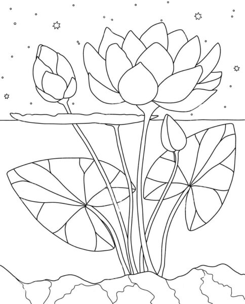 Xem hơn 48 ảnh về hình vẽ hoa sen phật giáo  daotaonec