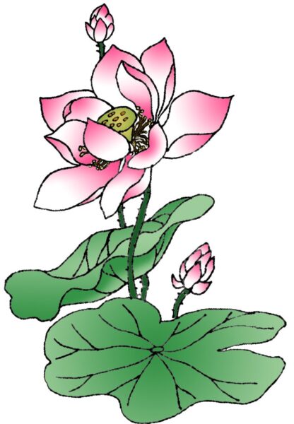 Xem hơn 48 ảnh về hình vẽ hoa sen phật giáo  daotaonec