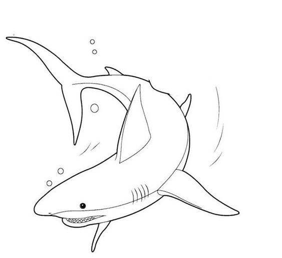 Xem rộng lớn 100 hình ảnh về hình vẽ cá mập rất đẹp  daotaonec
