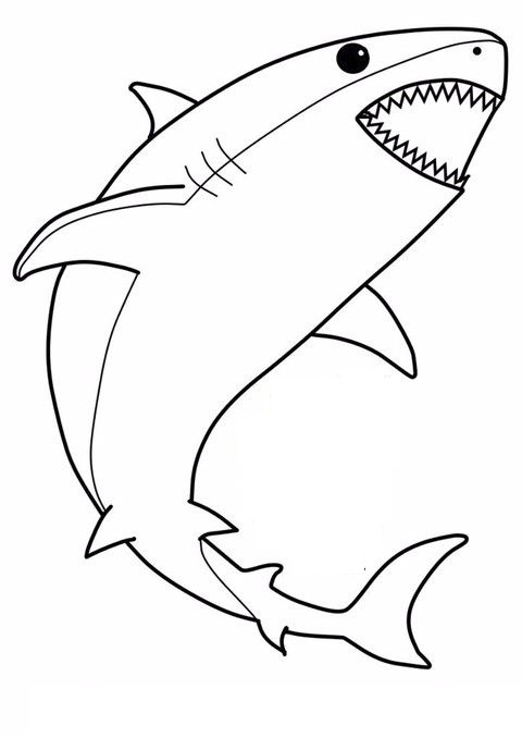 tranh tô color theo đòi số cá mập con cái TE78