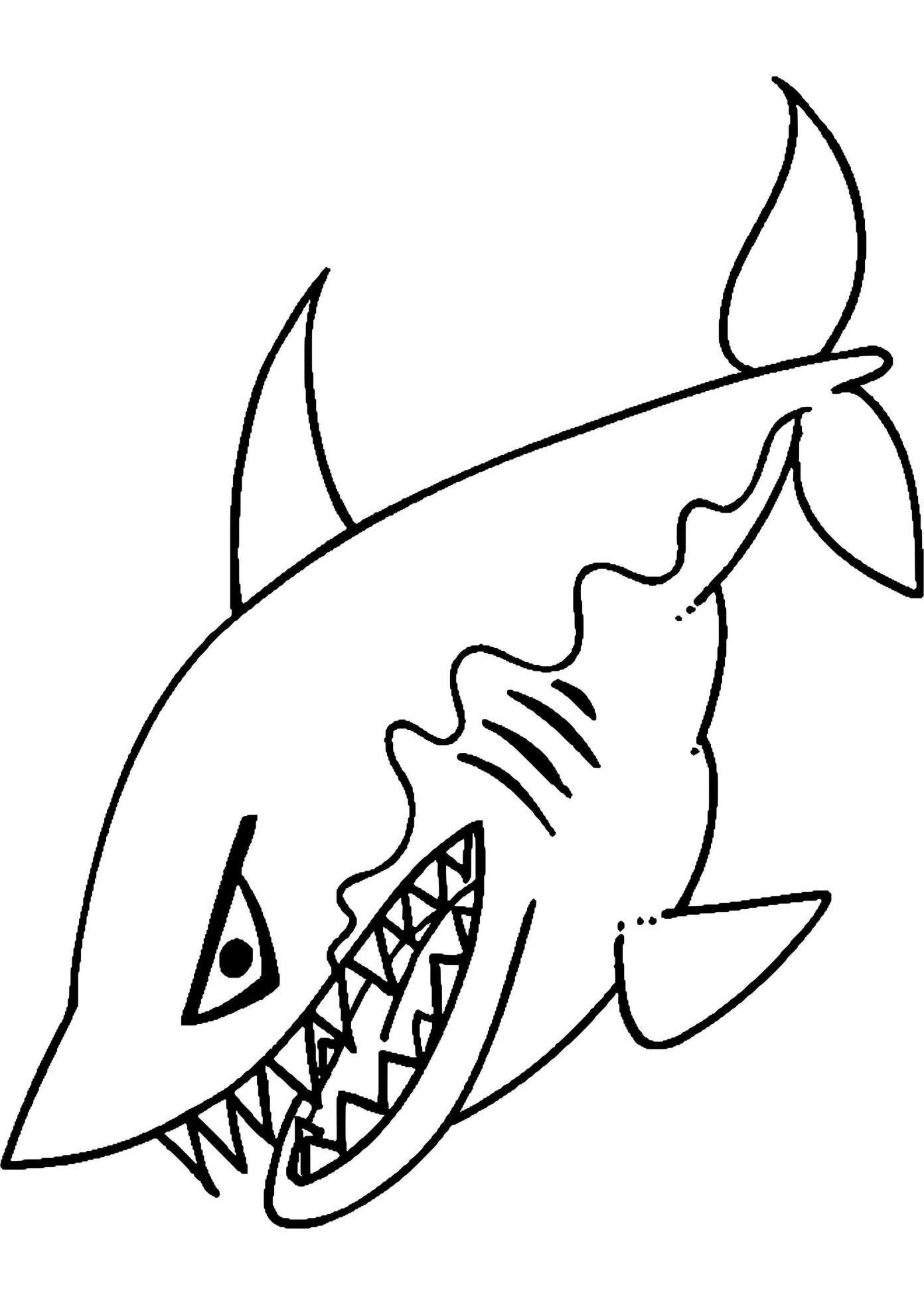 tranh 3d cá mập giá bán 4 triệu 5m  Vẽ Tranh Cần Thơ  Facebook