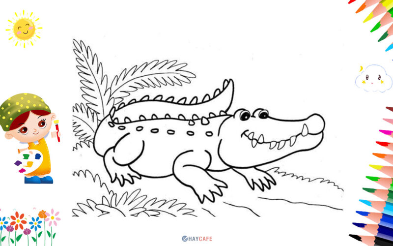 Xem hơn 100 ảnh về hình vẽ con cá sấu  NEC