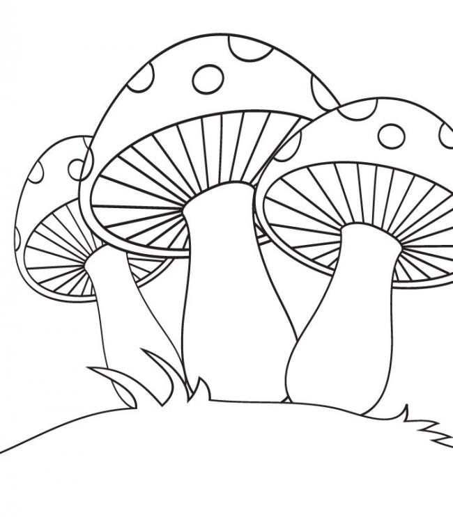 Xem hơn 100 ảnh về hình vẽ cây nấm dễ thương  NEC