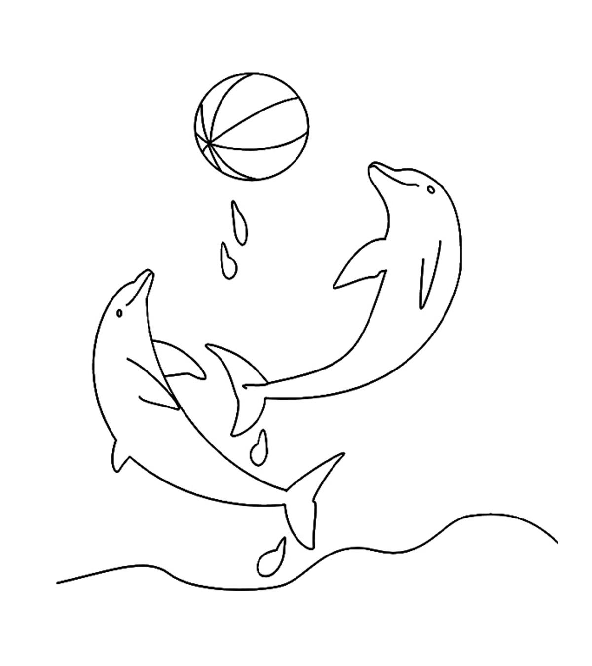 Cách vẽ cá heo chỉ với 9 bước dành cho bé yêu