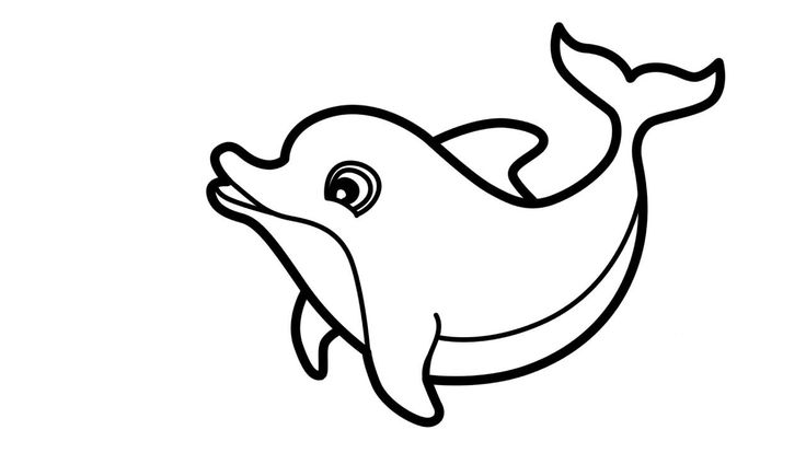 Cập nhật hơn 51 về hình ảnh cá vẽ  Du học Akina