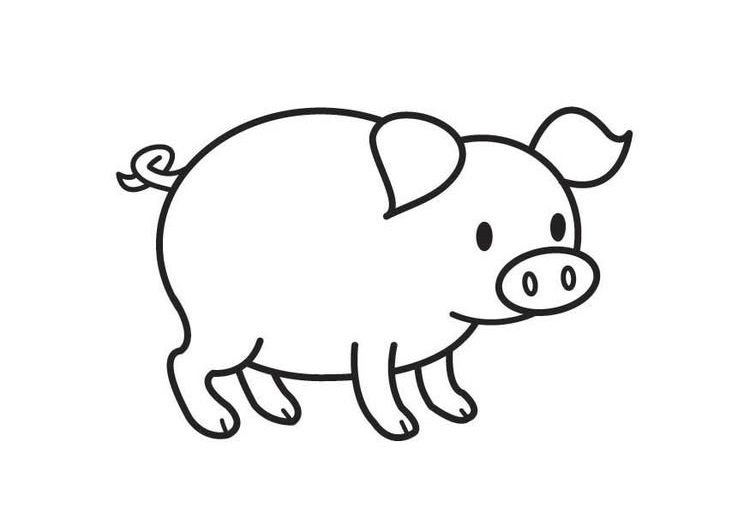 Hướng dẫn cách vẽ CON HEO Lợn  Tô màu Con Heo Lợn  How to draw a Pig   YouTube