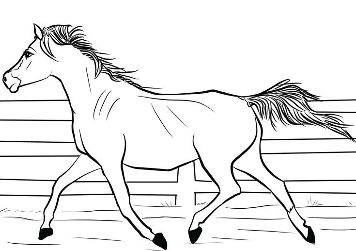 Lưu ngày 25 mẫu tranh tô màu con ngựa đẹp nhất hiện nay