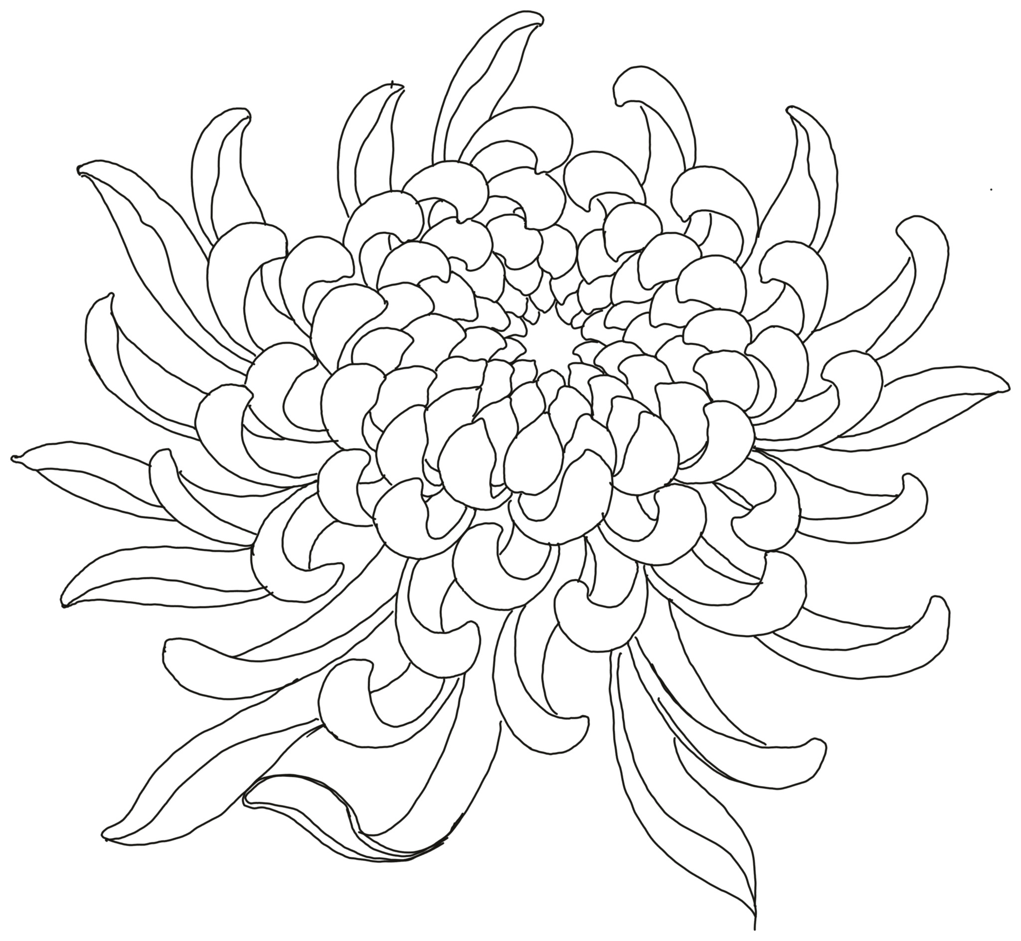Xem hơn 48 ảnh về hình vẽ hoa cúc đơn giản  NEC