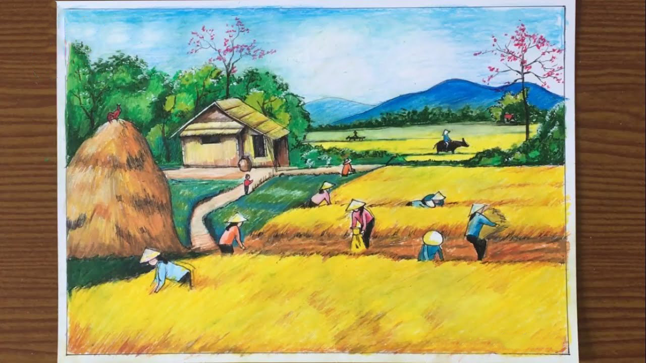 20+ Mẫu Vẽ Tranh Quê Hương Cánh Đồng Lúa Cho Tình Yêu Đất Nước