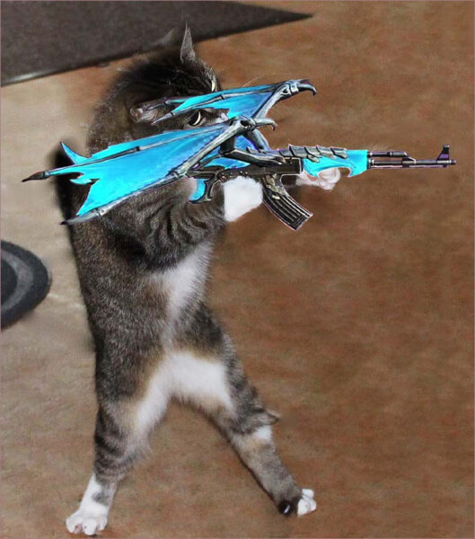 ảnh meme con mèo cầm AK rồng xanh nhắm bắn