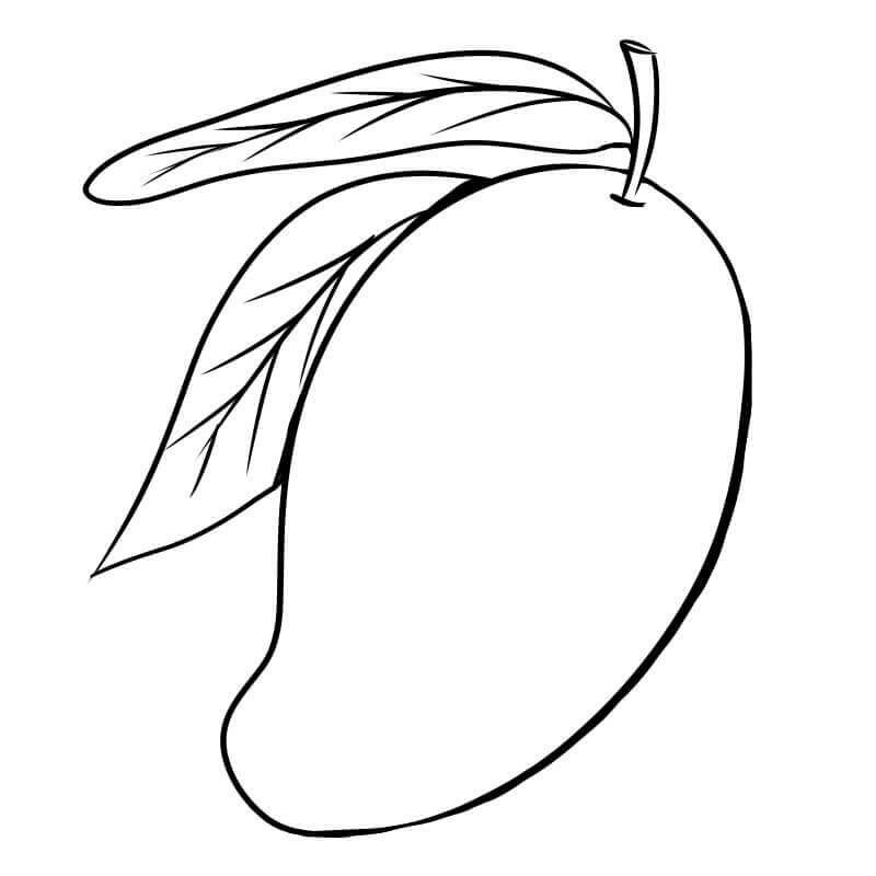 Cách vẽ quả xoài đơn giản  Hướng dẫn vẽ quả xoài bằng bút chì  Draw a  mango fruit  YouTube