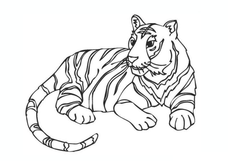 Tranh tô màu cho bé trai 5 tuổi con hổ