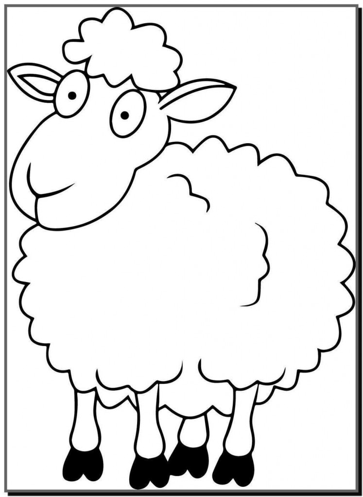 Xem hơn 100 ảnh về hình vẽ con cừu  daotaonec