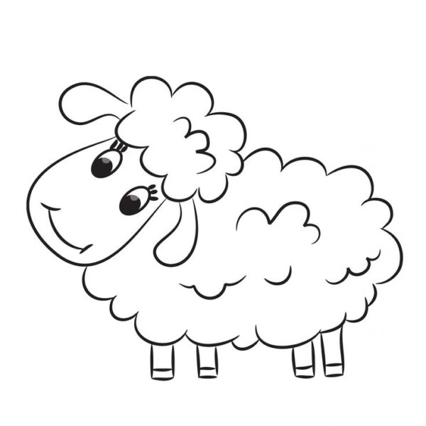 Tranh Tô Màu Con Cừu Dễ Thương, Đẹp, Có Hình Mẫu - Th Điện Biên Đông