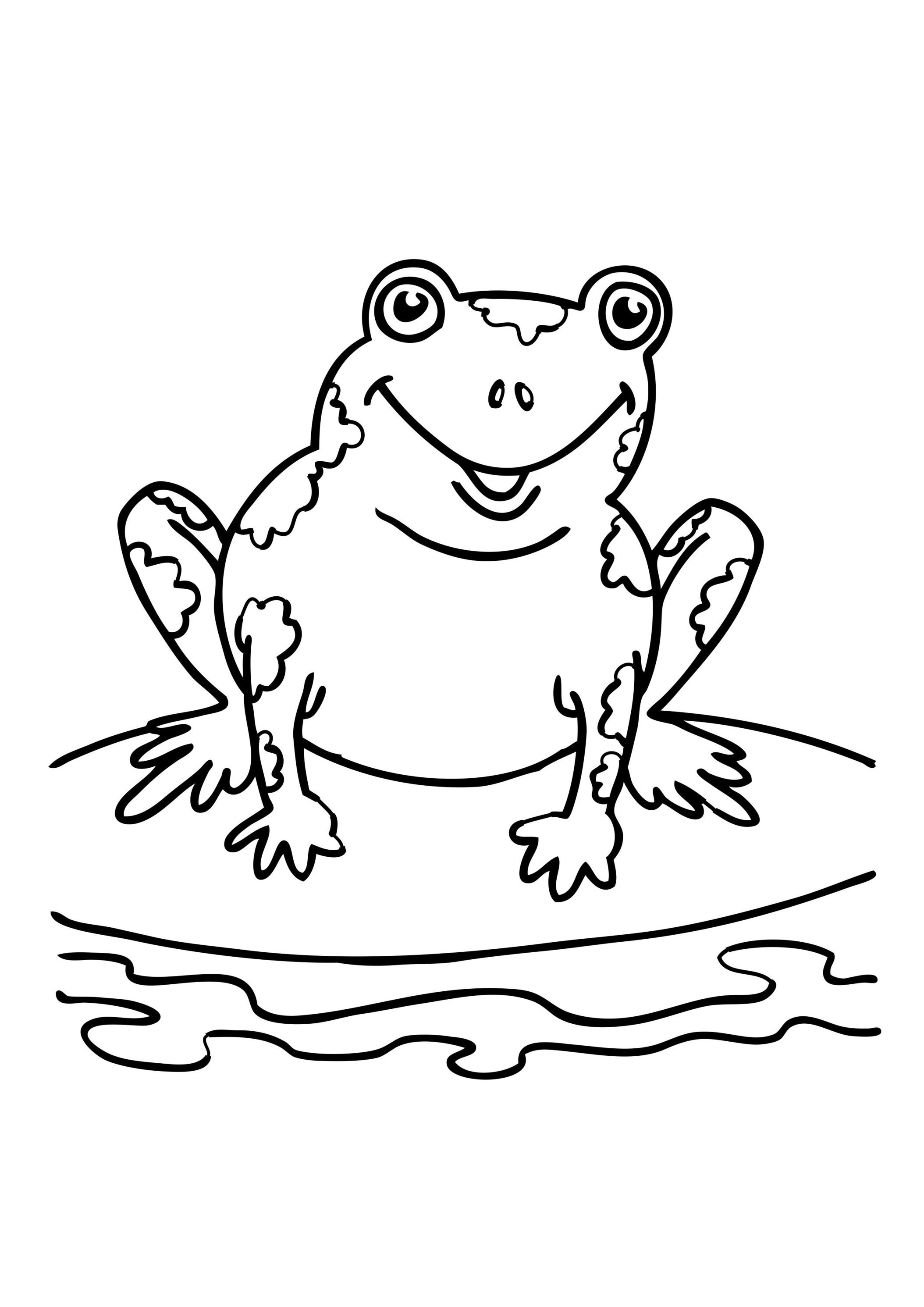 Xem hơn 48 ảnh về hình vẽ con ếch  daotaonec