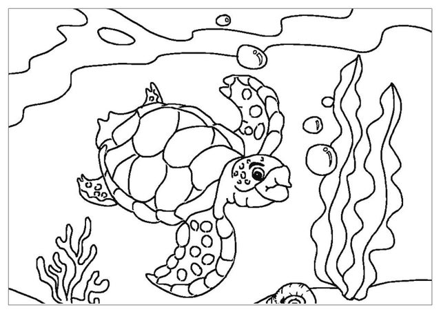 Khám Phá Với Hơn 289 Vẽ Con Rùa Đang Bơi Siêu Đỉnh - Thtantai2.Edu.Vn