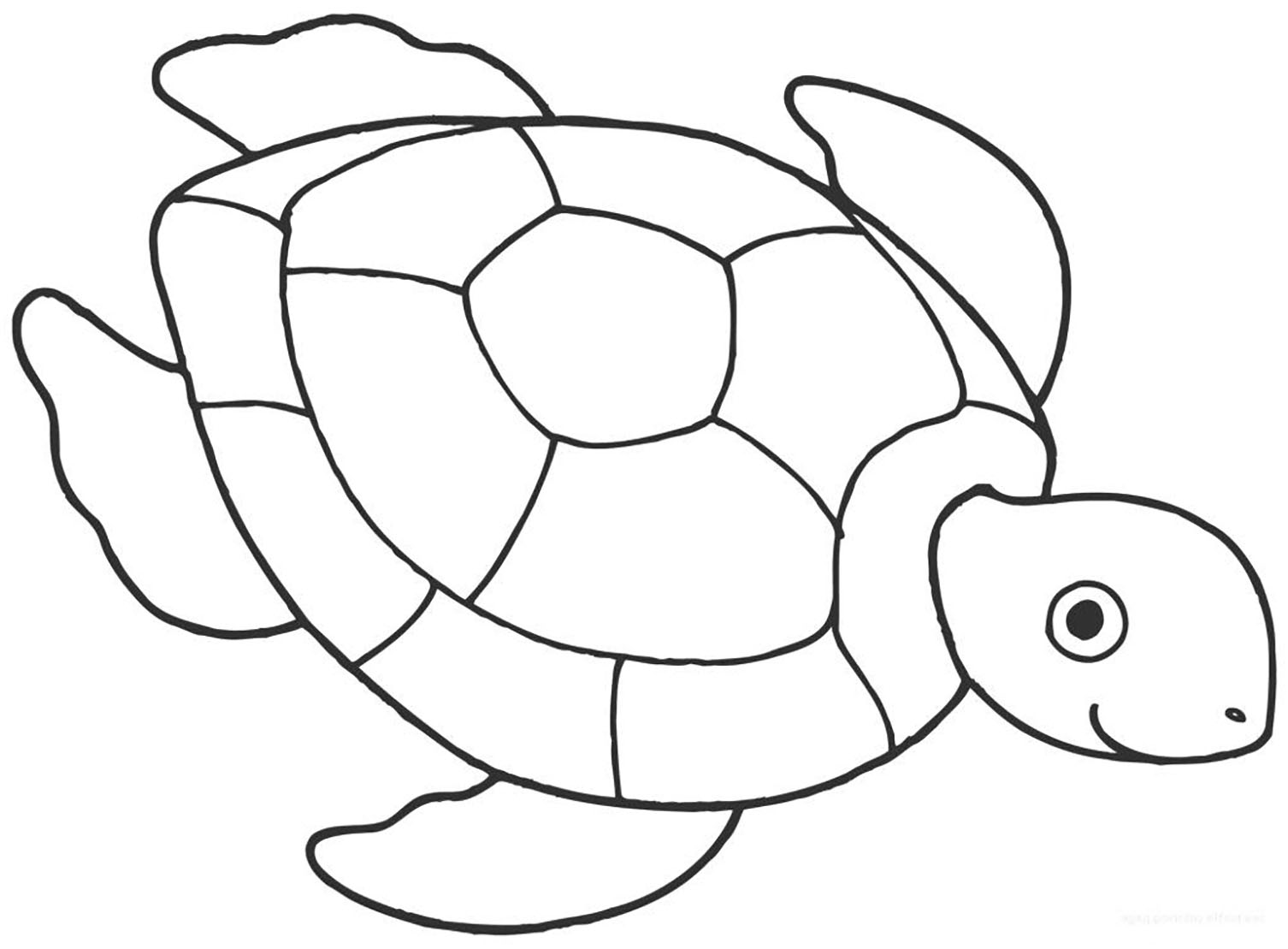 Chi Tiết Nhiều Hơn 105 Hình Vẽ Rùa Mới Nhất - Thtantai2.Edu.Vn