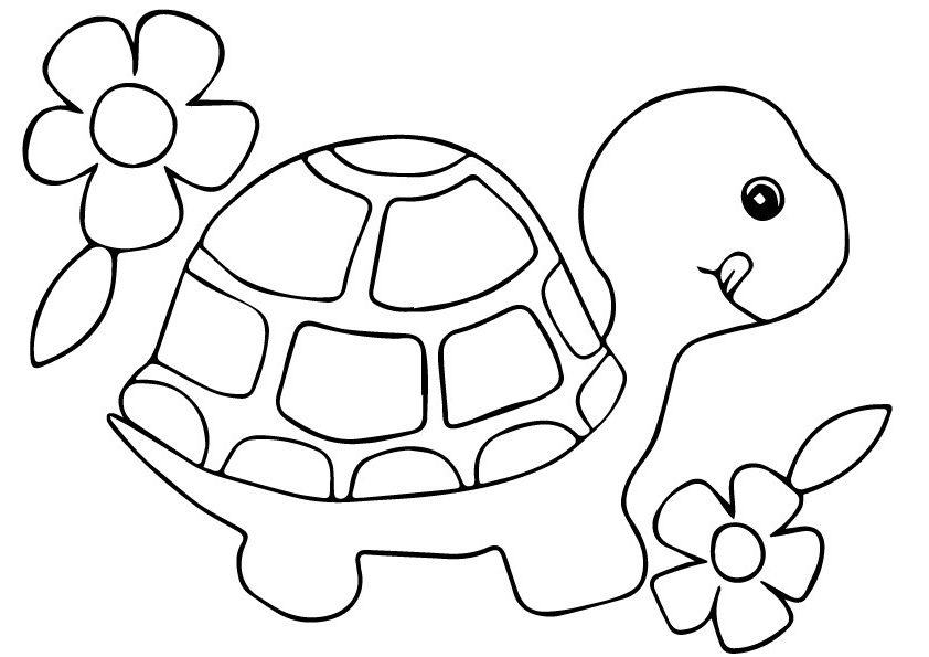 Xem Hơn 100 Ảnh Về Hình Vẽ Con Rùa Biển - Daotaonec