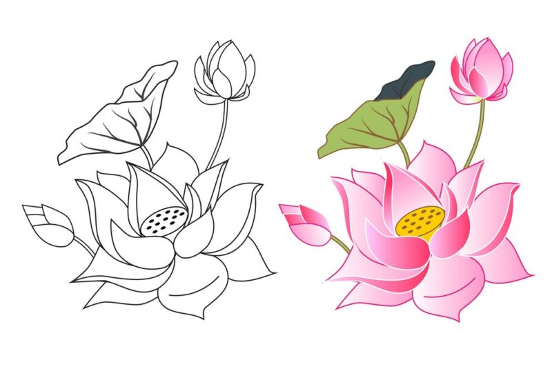 65 Tranh tô màu lọ hoa đẹp nhất dễ tải dễ in Update 2023  DYB