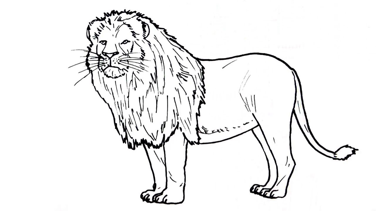 Chia sẻ 58 về sư tử tô màu  trieuson5