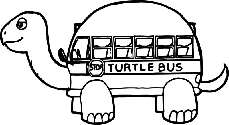 Tranh tô màu xe buýt hình con rùa