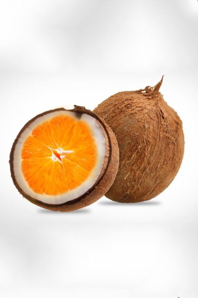 Ảnh trái cây troll dừa hay cam