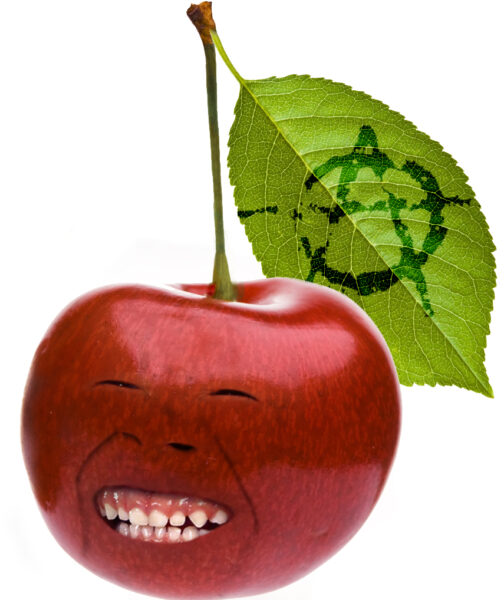 Ảnh trái cây troll quả cherri