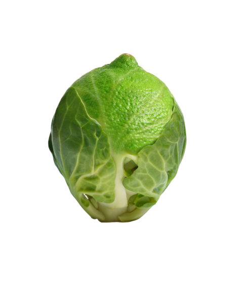 Ảnh trái cây troll rau và chanh