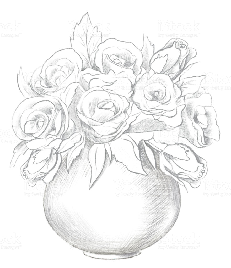 Hình ảnh hoa hồng vẽ bằng bút chì cực đẹp Rose sketch Flower drawing Roses drawing