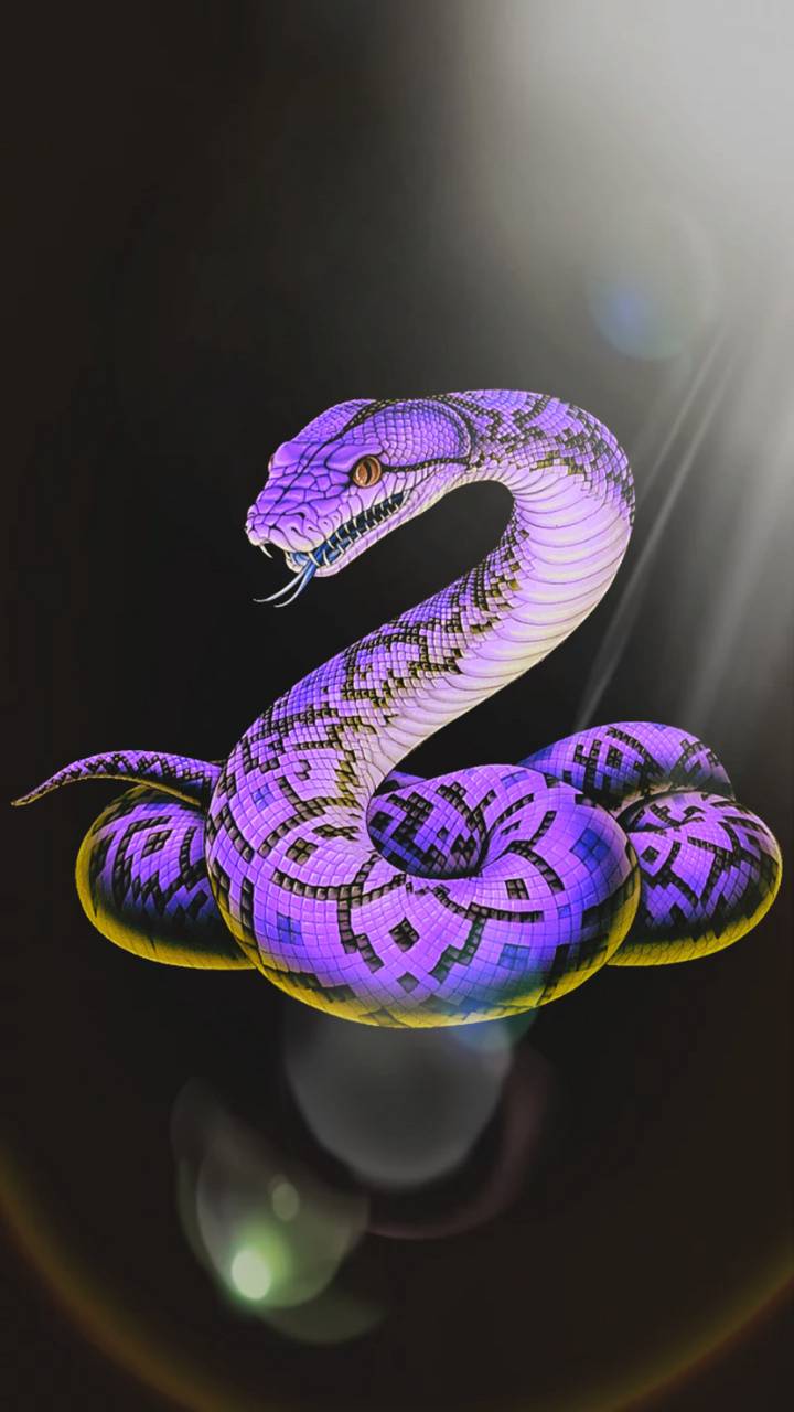 Top hơn 48 của hình nền con rắn  thptbudangbinhphuoceduvn