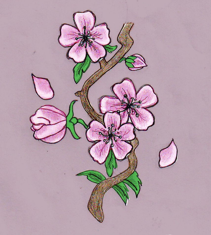 Chi tiết với hơn 52 về hình vẽ bông hoa đào  cdgdbentreeduvn