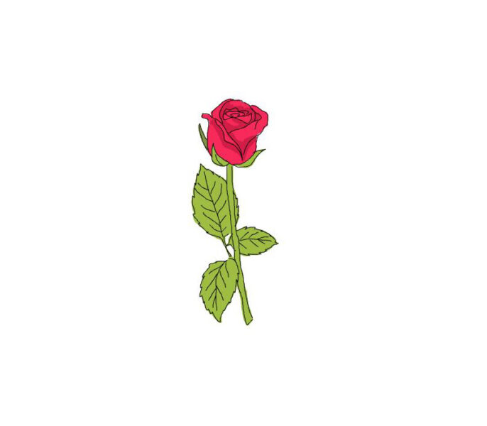 Tranh vẽ hoa hồng đẹp đơn giản và sống động nhất