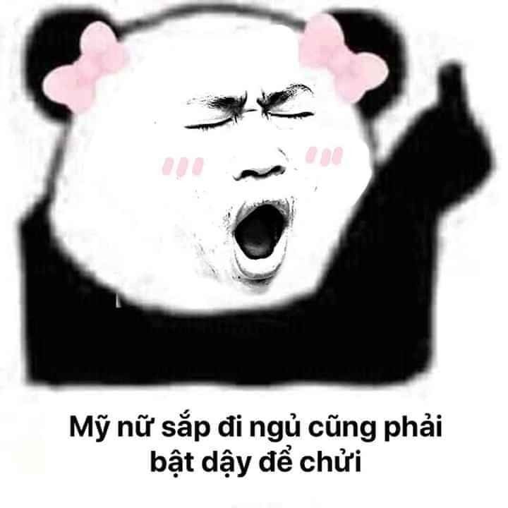123 Hình Ảnh Meme Gấu Trúc Weibo Cực Bựa Hài Vãi Cả Răng