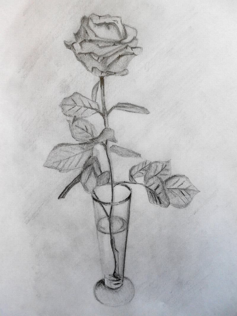 Hình ảnh hoa hồng vẽ bằng bút chì cực đẹp Roses drawing Rose drawing tattoo Rose drawing