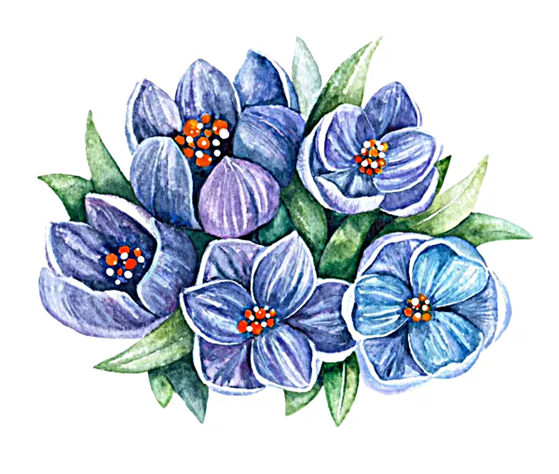 Cách Vẽ Hoa Violet Đơn Giản Đẹp Nhẹ Nhàng Sinh Động  Biển Đông Edu