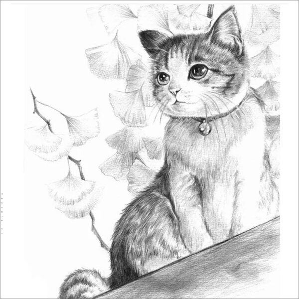 Cách Vẽ Mèo, Hình Vẽ Mèo Cute, Dễ Thương Đơn Giản - TH Điện Biên Đông