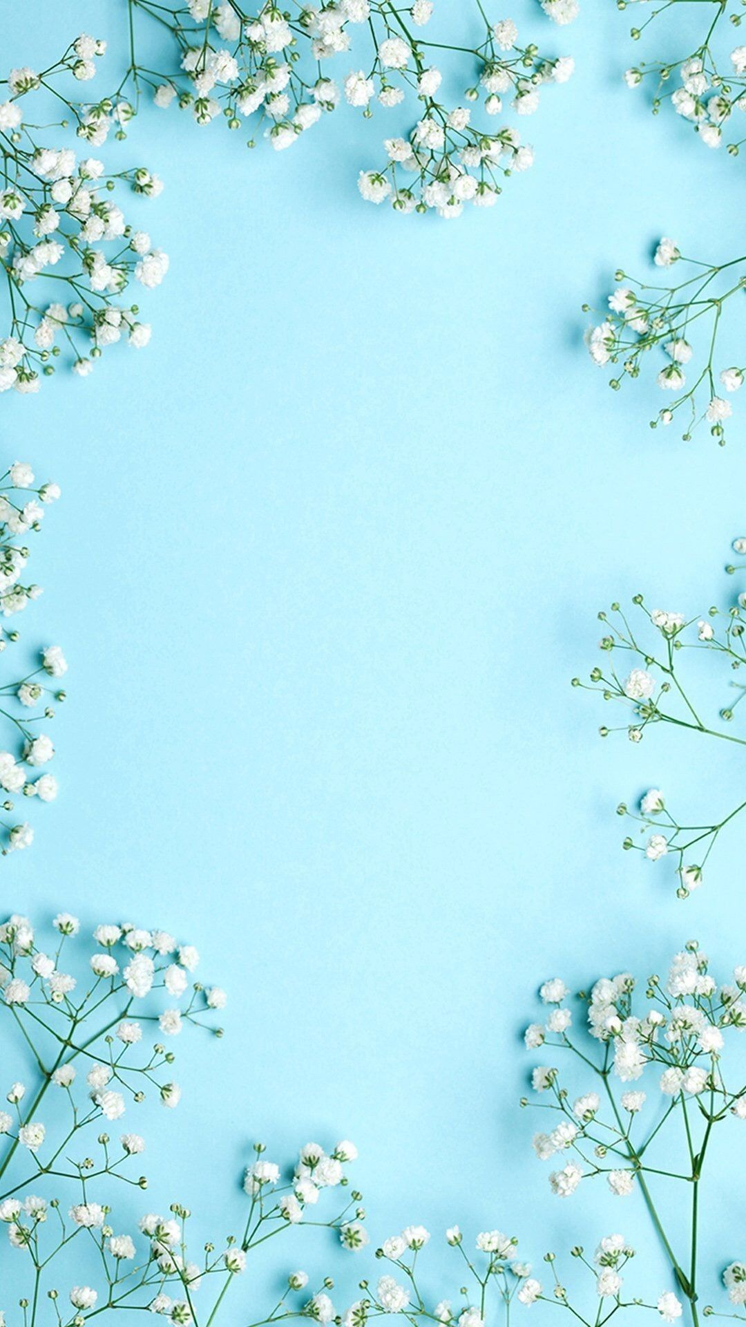 Chi tiết hơn 60 về hình nền hoa màu xanh dương hay nhất  cdgdbentreeduvn
